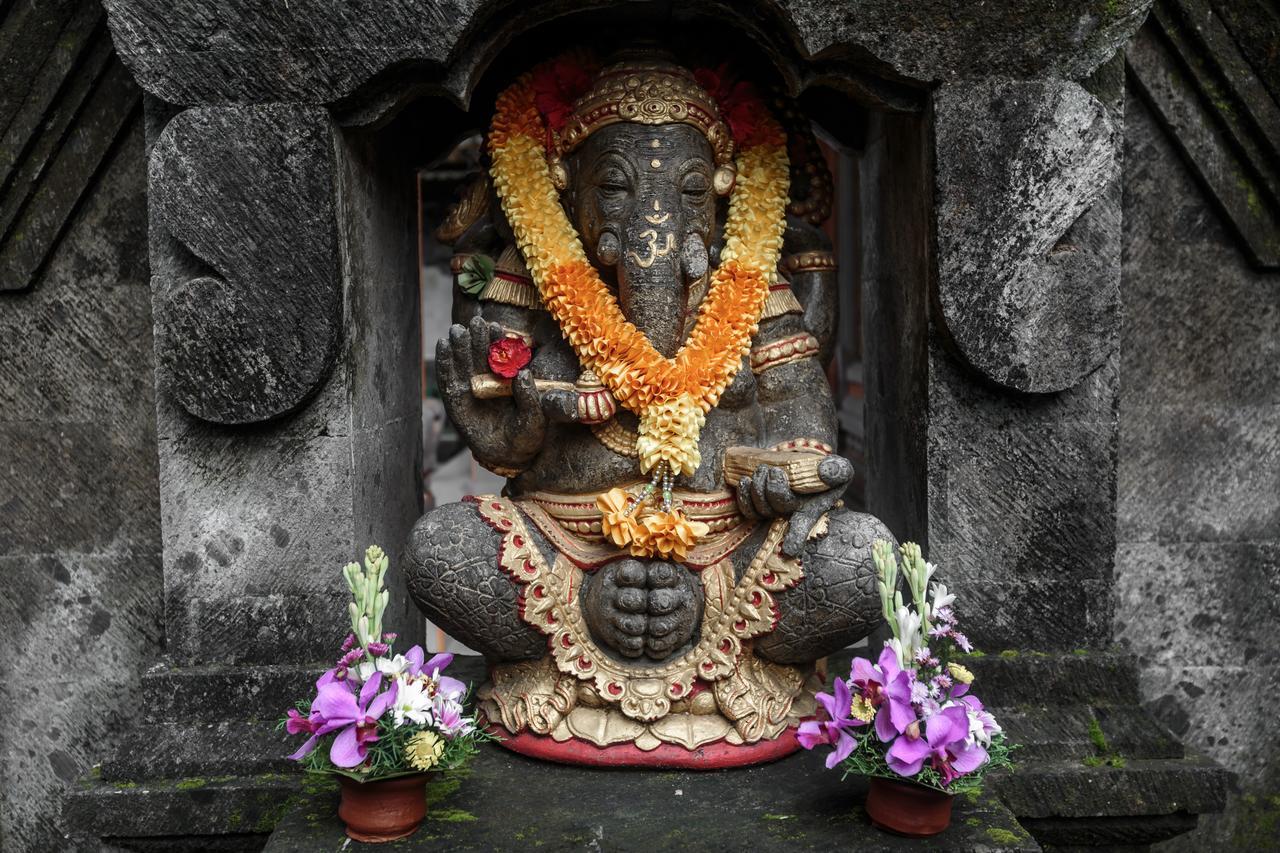 Hotel Warji House 2 Bisma Ubud Exteriér fotografie